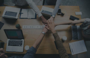 Meet The Team